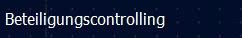 Beteiligungscontrolling