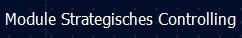 Module Strategisches Controlling